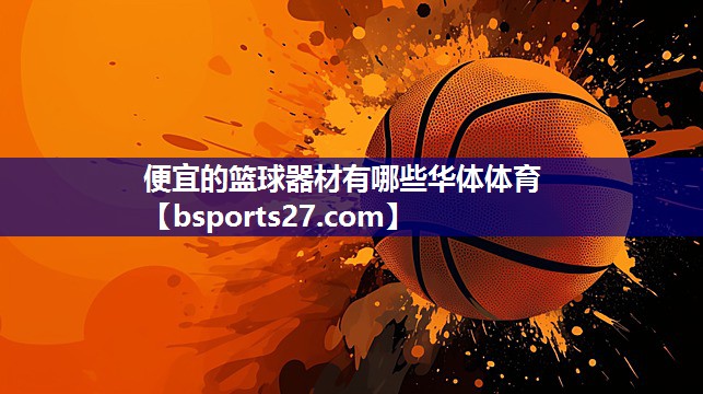 便宜的篮球器材有哪些华体体育