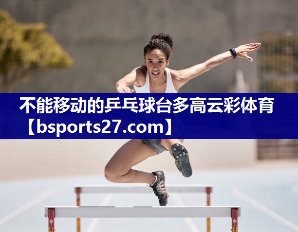 不能移动的乒乓球台多高云彩体育